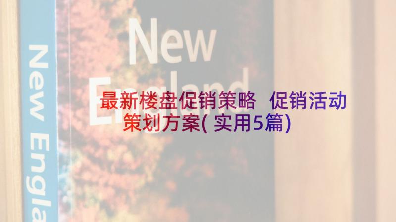 最新楼盘促销策略 促销活动策划方案(实用5篇)