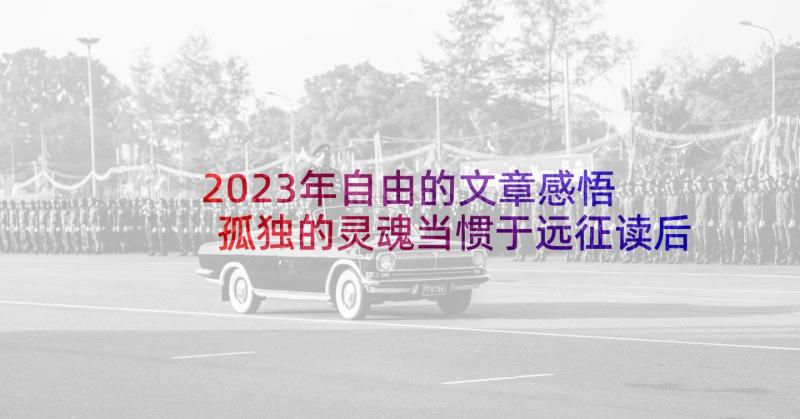 2023年自由的文章感悟 孤独的灵魂当惯于远征读后感(优秀5篇)