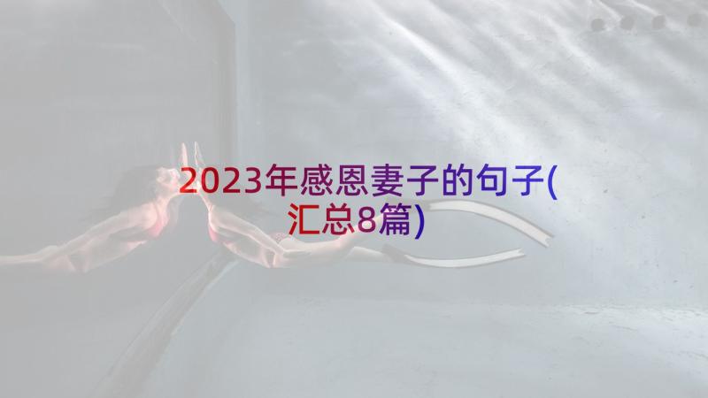 2023年感恩妻子的句子(汇总8篇)