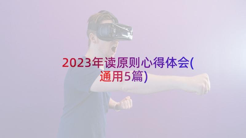 2023年读原则心得体会(通用5篇)