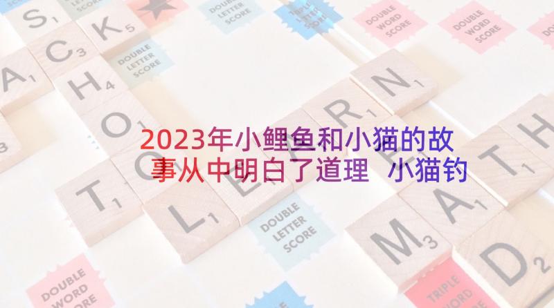 2023年小鲤鱼和小猫的故事从中明白了道理 小猫钓鱼读后感(精选5篇)