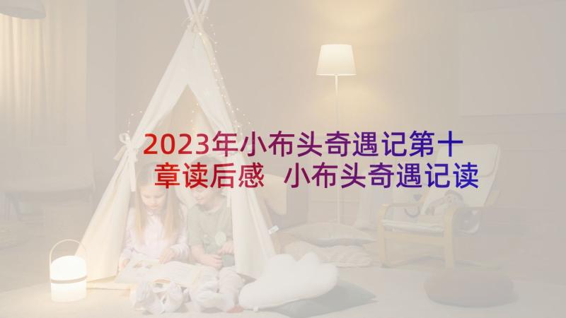 2023年小布头奇遇记第十章读后感 小布头奇遇记读后感(实用8篇)