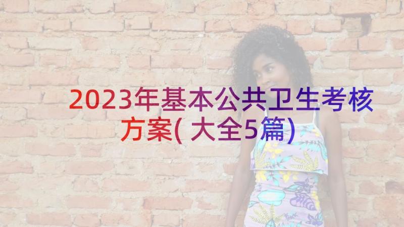 2023年基本公共卫生考核方案(大全5篇)