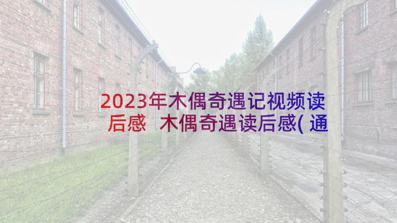 2023年木偶奇遇记视频读后感 木偶奇遇读后感(通用8篇)