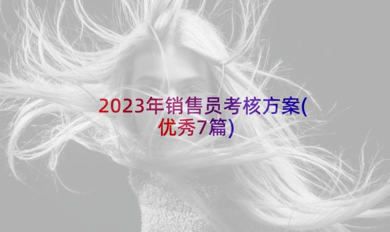 2023年销售员考核方案(优秀7篇)