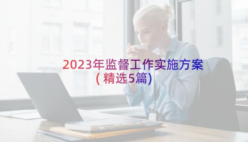 2023年监督工作实施方案(精选5篇)