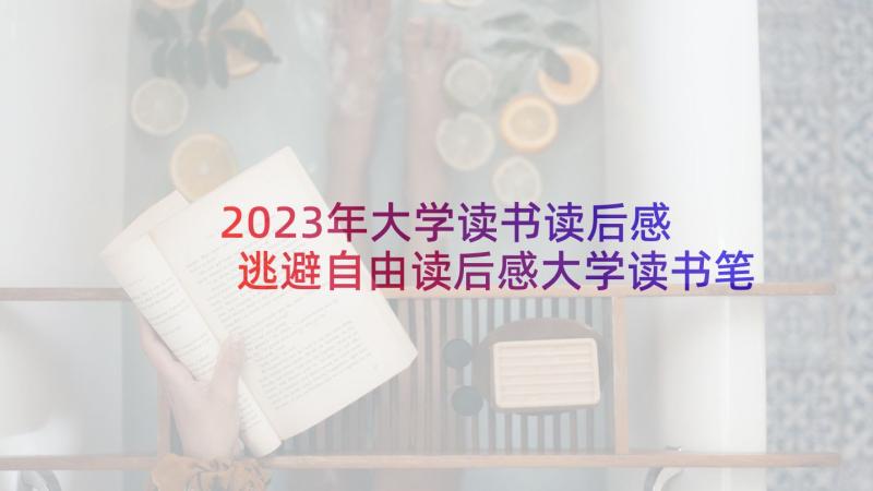 2023年大学读书读后感 逃避自由读后感大学读书笔记(优秀5篇)