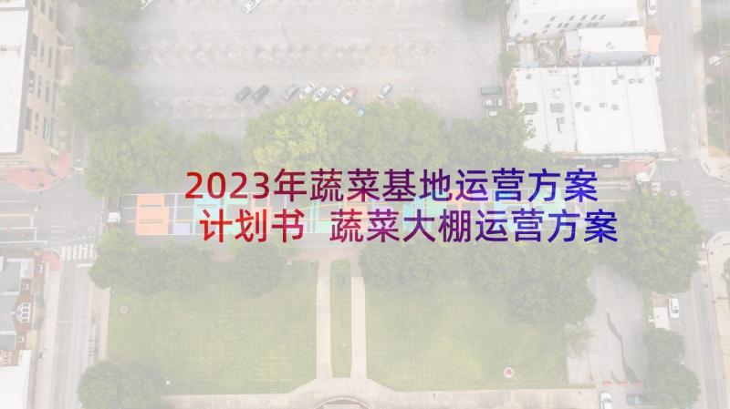 2023年蔬菜基地运营方案计划书 蔬菜大棚运营方案(大全5篇)