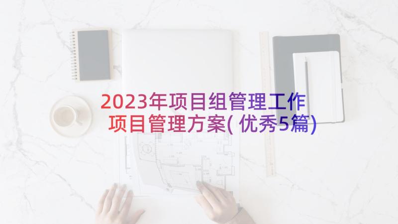 2023年项目组管理工作 项目管理方案(优秀5篇)