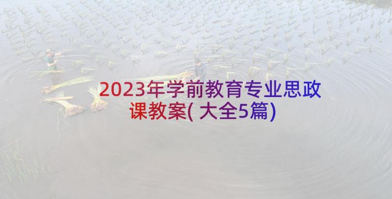 2023年学前教育专业思政课教案(大全5篇)