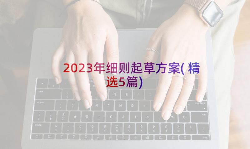 2023年细则起草方案(精选5篇)