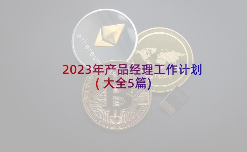 2023年产品经理工作计划(大全5篇)