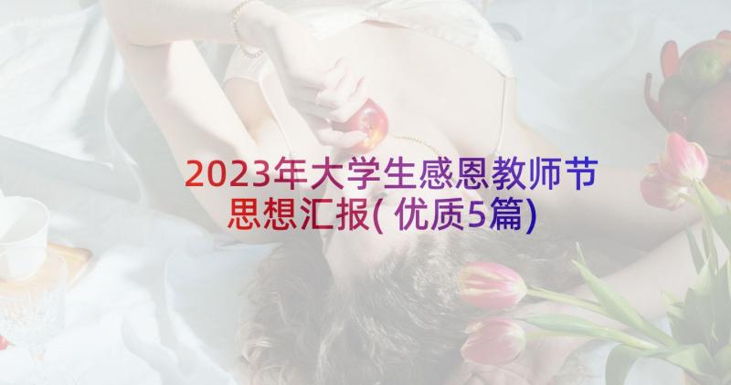 2023年大学生感恩教师节思想汇报(优质5篇)