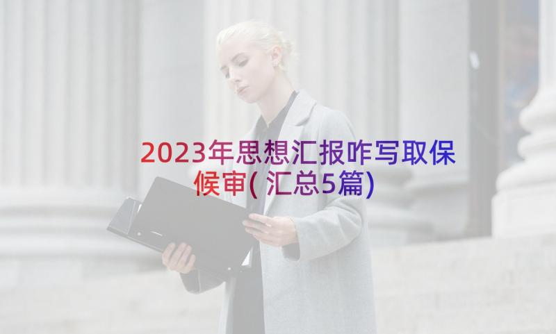 2023年思想汇报咋写取保候审(汇总5篇)