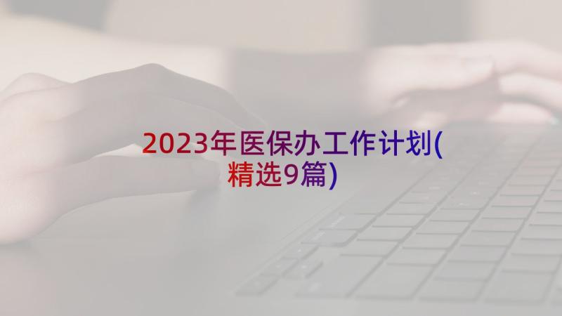 2023年医保办工作计划(精选9篇)