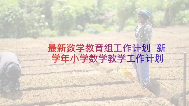 最新数学教育组工作计划 新学年小学数学教学工作计划书(汇总5篇)