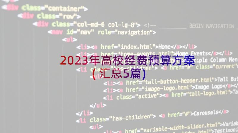 2023年高校经费预算方案(汇总5篇)