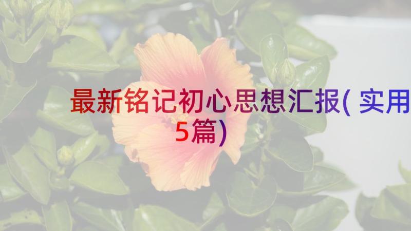 最新铭记初心思想汇报(实用5篇)