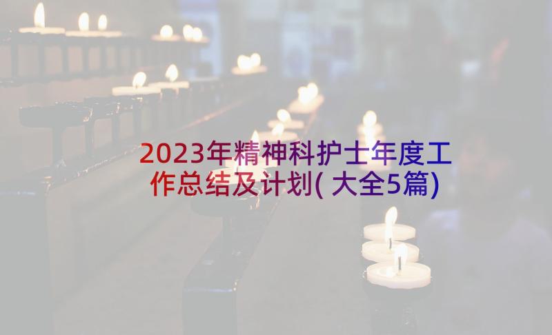 2023年精神科护士年度工作总结及计划(大全5篇)