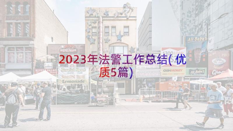 2023年法警工作总结(优质5篇)