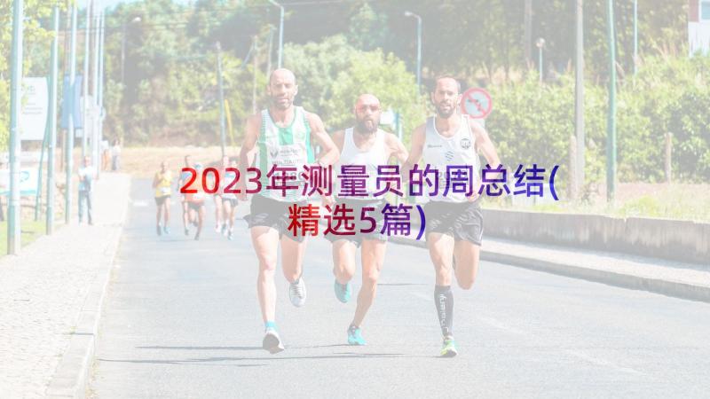 2023年测量员的周总结(精选5篇)