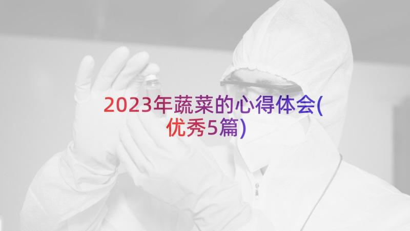 2023年蔬菜的心得体会(优秀5篇)