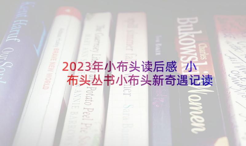 2023年小布头读后感 小布头丛书小布头新奇遇记读后感(精选5篇)