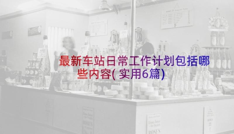 最新车站日常工作计划包括哪些内容(实用6篇)