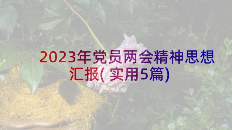 2023年党员两会精神思想汇报(实用5篇)