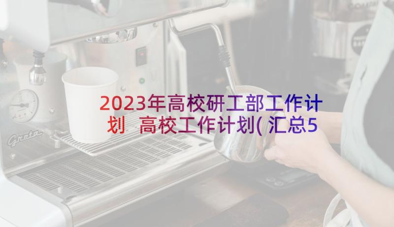 2023年高校研工部工作计划 高校工作计划(汇总5篇)