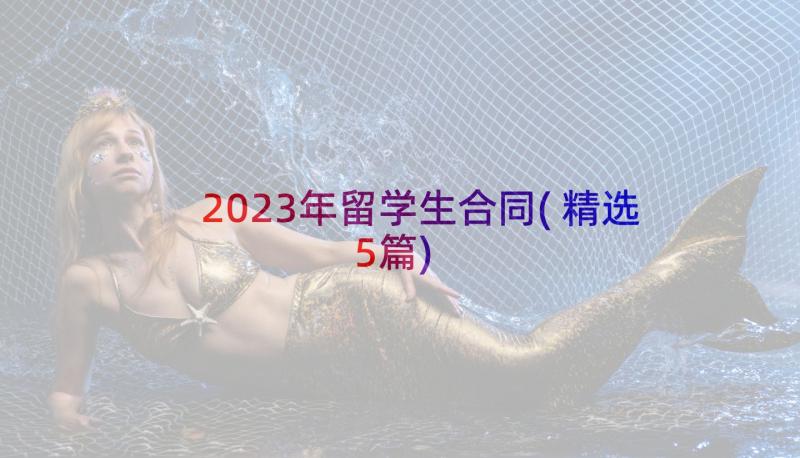 2023年留学生合同(精选5篇)