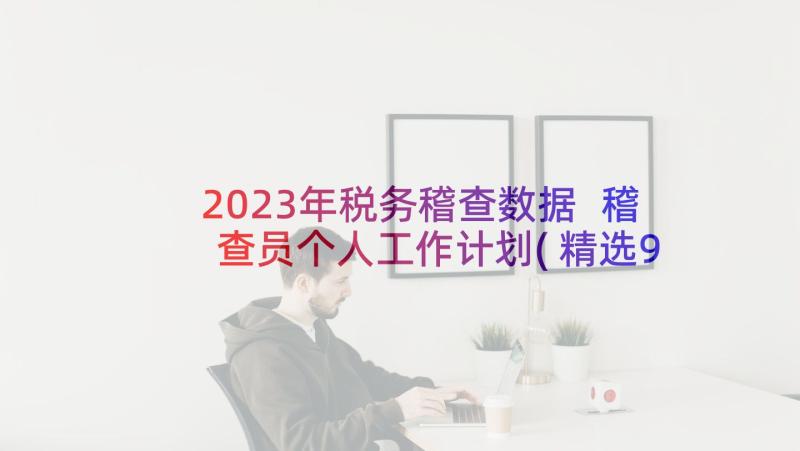 2023年税务稽查数据 稽查员个人工作计划(精选9篇)