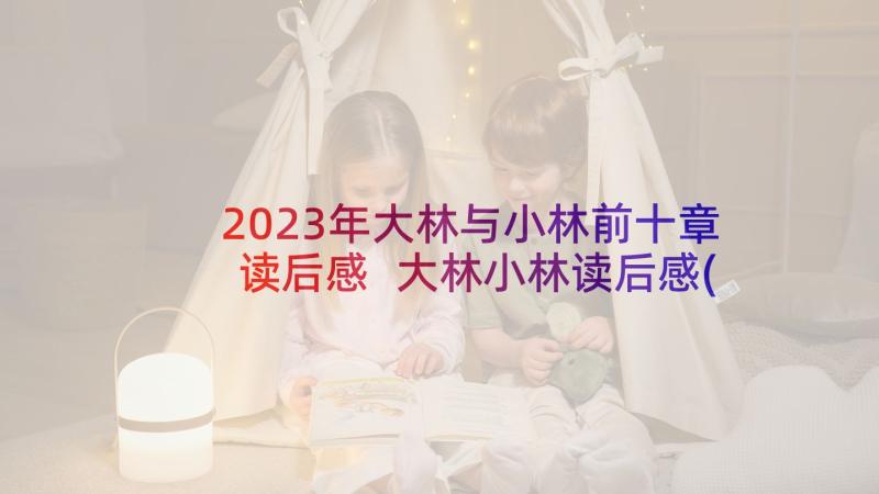 2023年大林与小林前十章读后感 大林小林读后感(大全9篇)