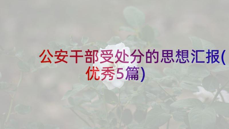 公安干部受处分的思想汇报(优秀5篇)