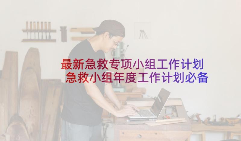 最新急救专项小组工作计划 急救小组年度工作计划必备(汇总5篇)