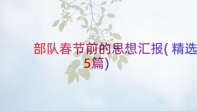 部队春节前的思想汇报(精选5篇)