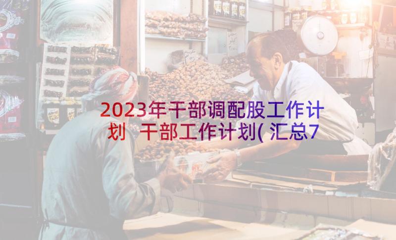 2023年干部调配股工作计划 干部工作计划(汇总7篇)