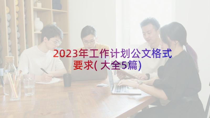 2023年工作计划公文格式要求(大全5篇)