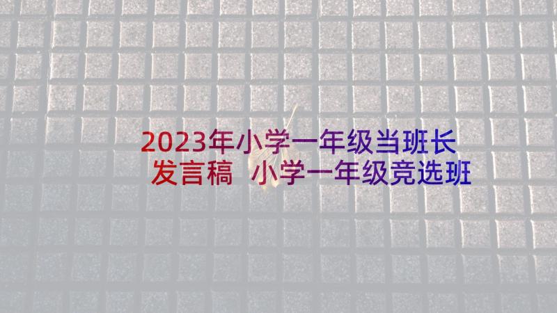 2023年小学一年级当班长发言稿 小学一年级竞选班长发言稿(精选5篇)