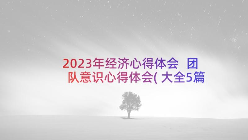 2023年经济心得体会 团队意识心得体会(大全5篇)