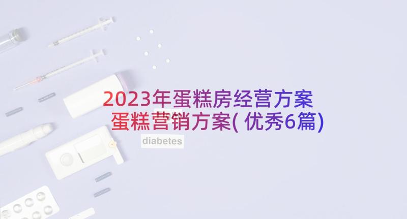 2023年蛋糕房经营方案 蛋糕营销方案(优秀6篇)