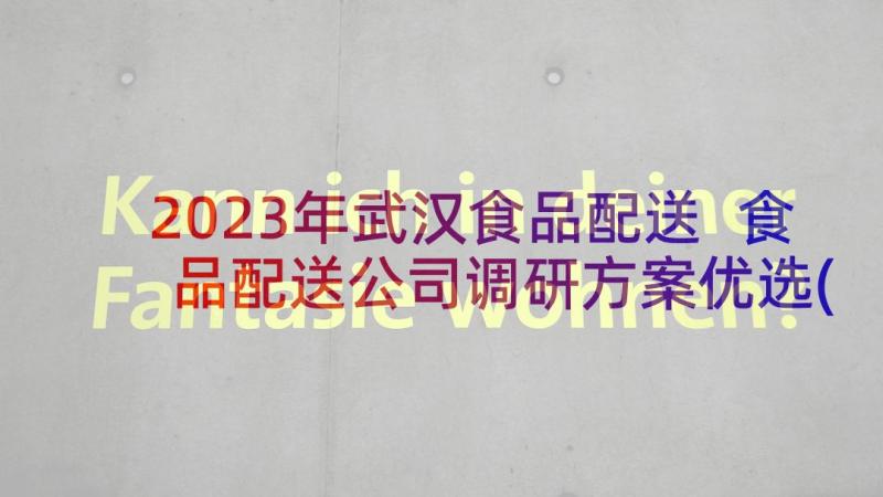 2023年武汉食品配送 食品配送公司调研方案优选(优质5篇)