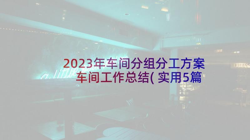 2023年车间分组分工方案 车间工作总结(实用5篇)