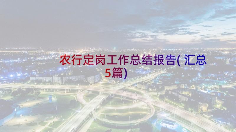 农行定岗工作总结报告(汇总5篇)