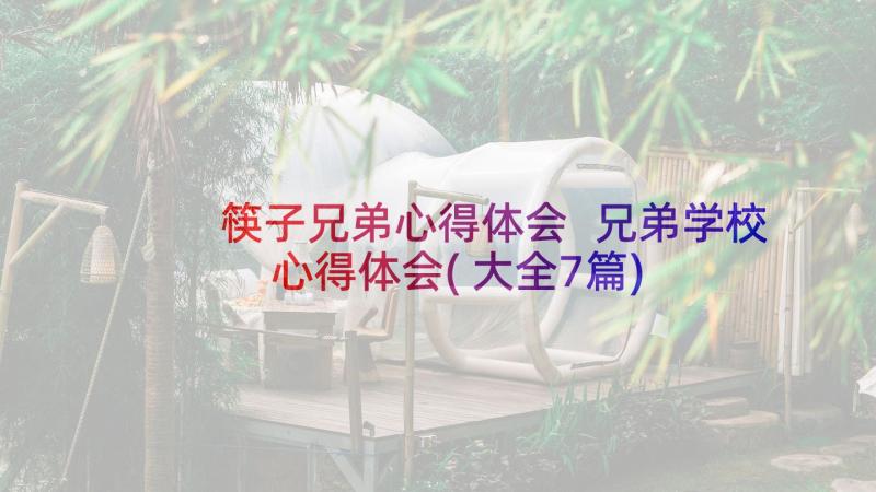 筷子兄弟心得体会 兄弟学校心得体会(大全7篇)