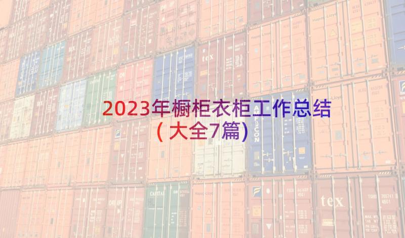 2023年橱柜衣柜工作总结(大全7篇)