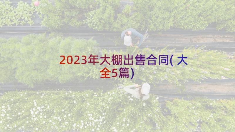 2023年大棚出售合同(大全5篇)