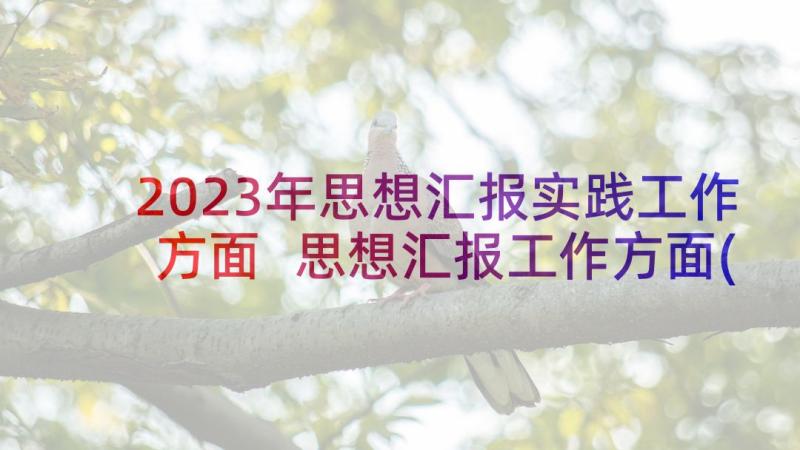 2023年思想汇报实践工作方面 思想汇报工作方面(通用5篇)