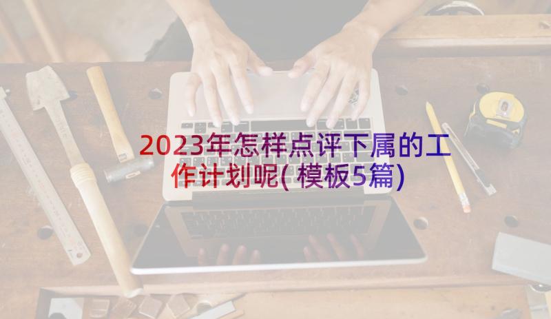 2023年怎样点评下属的工作计划呢(模板5篇)