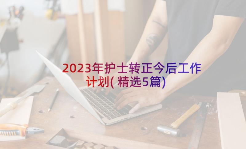 2023年护士转正今后工作计划(精选5篇)